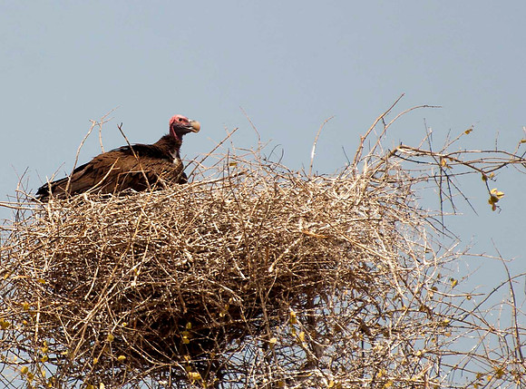 DSC_7965edit small