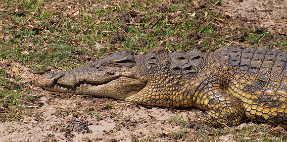 DSC_6686edit2 small