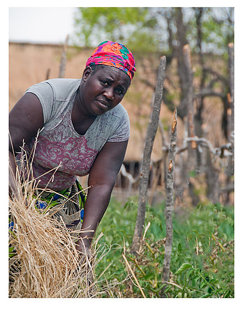 Nsongwe jpegs-01