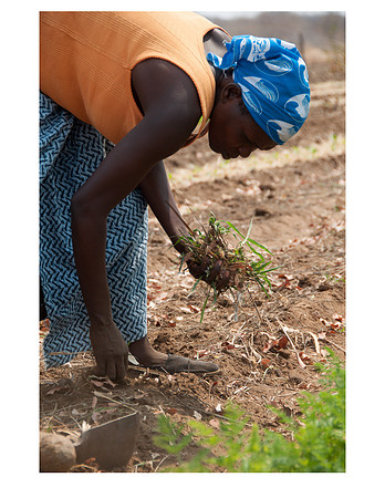Nsongwe jpegs-19