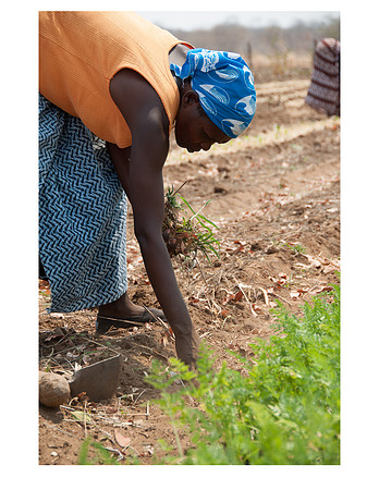 Nsongwe jpegs-18