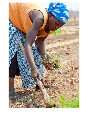 Nsongwe jpegs-17