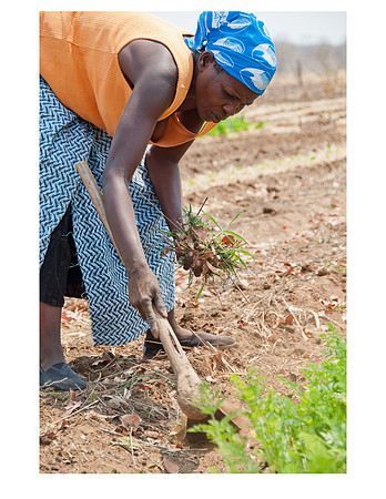 Nsongwe jpegs-15