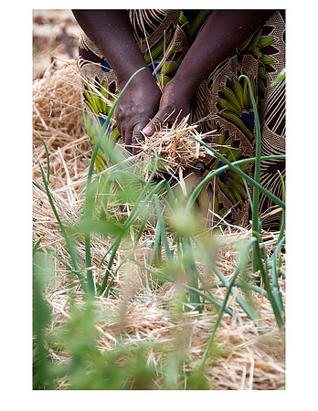 Nsongwe jpegs-07
