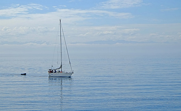 Tranquility, Victoria, BC, sm