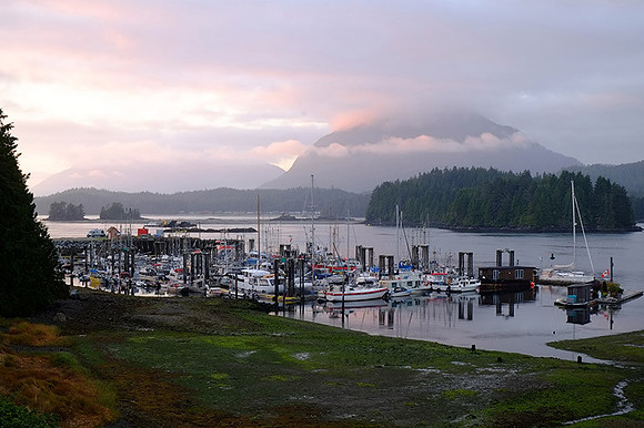 Tofino, BC sm