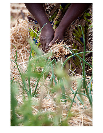 Nsongwe jpegs-04