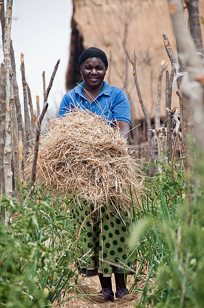 Women Volunteer