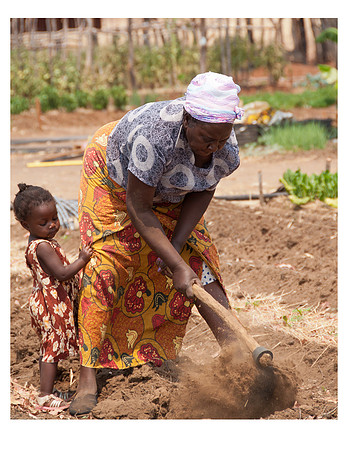Nsongwe jpegs-23